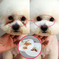 Pet Eye Grooming
