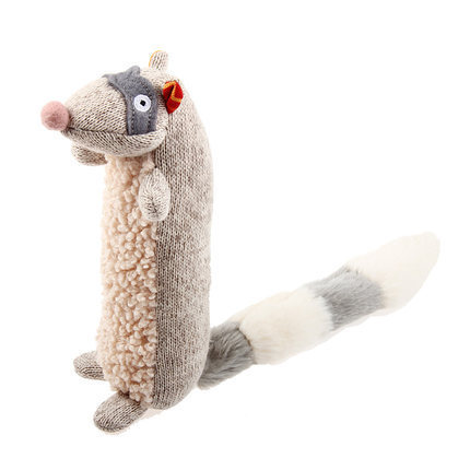 raccoon