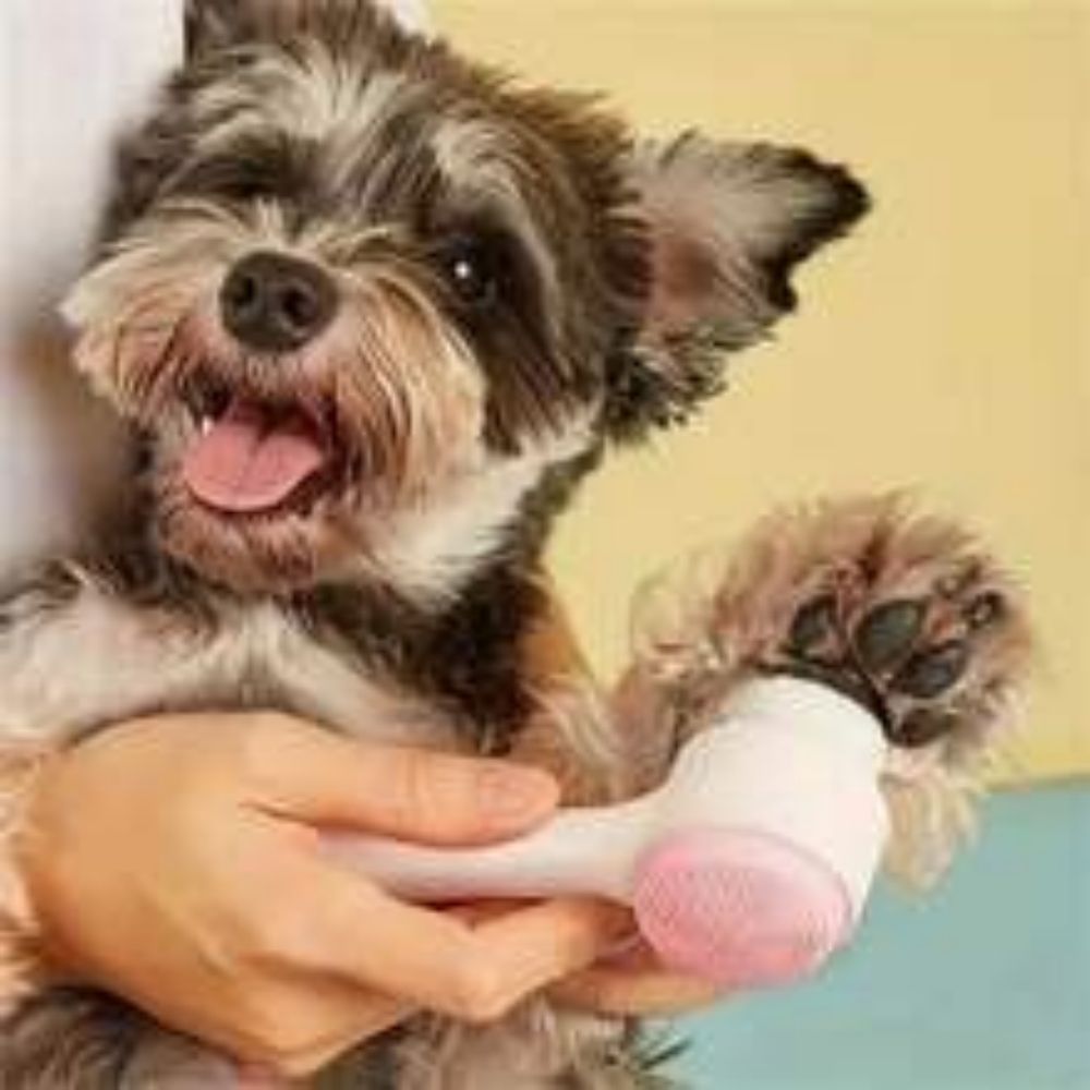 Easy Clean Nylon Pet Paw